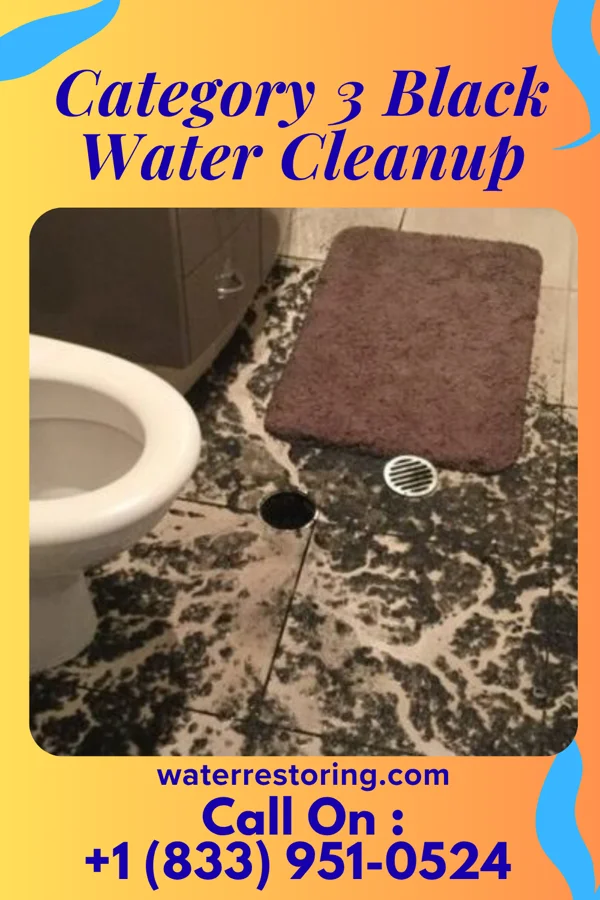 Category 3 Black Water Cleanup in Columbiaville, MI