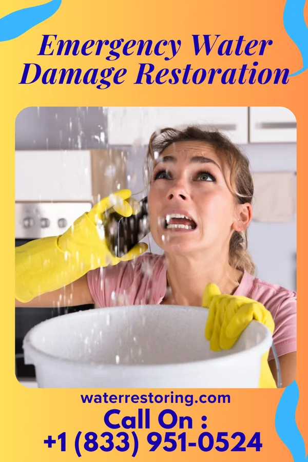 Emergency Water Damage Restoration in Columbiaville, MI