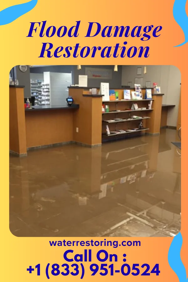 Flood Damage Restoration in Columbiaville, MI