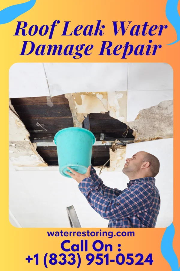 Roof Leak Water Damage Repair in Columbiaville, MI