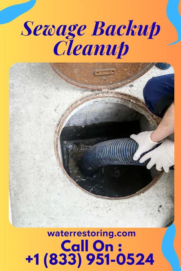 Sewage Backup Cleanup in Columbiaville, MI