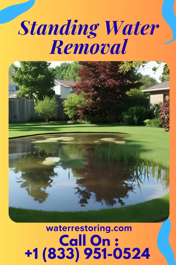 Standing Water Removal in Columbiaville, MI